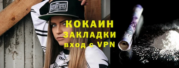 прущий лед Алзамай