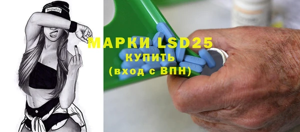 прущий лед Алзамай