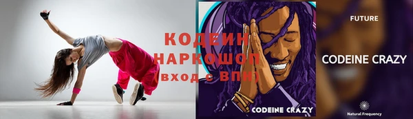 прущий лед Алзамай
