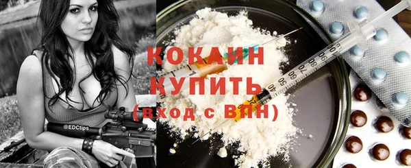 прущий лед Алзамай