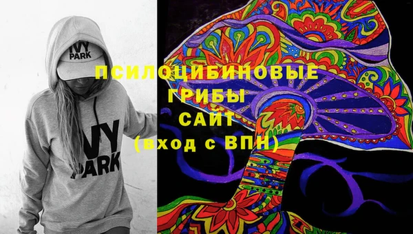 ECSTASY Алексеевка