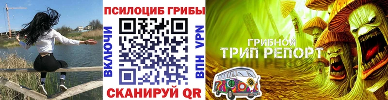 ссылка на мегу рабочий сайт  Андреаполь  Галлюциногенные грибы Psilocybine cubensis 